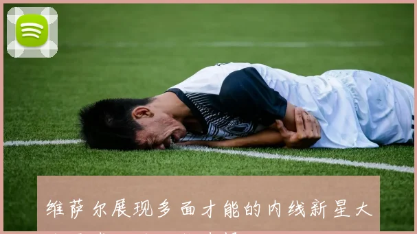 维萨尔展现多面才能的内线新星大个子球队的绝佳选择