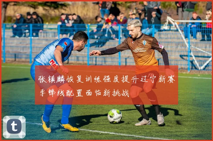 张镇麟恢复训练强度提升辽宁新赛季锋线配置面临新挑战